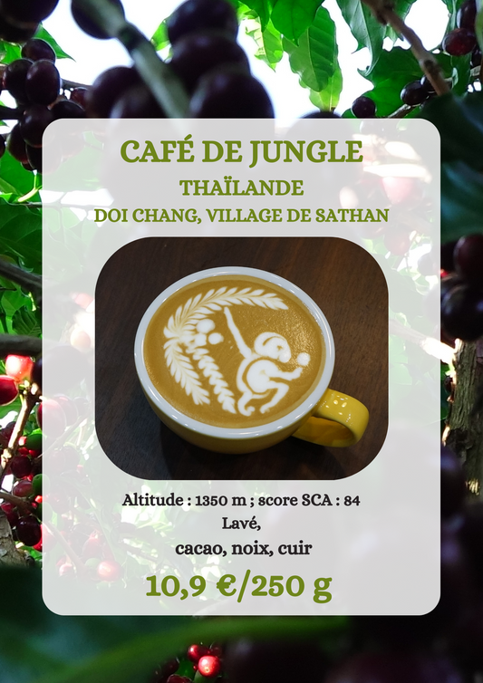 Café Thaïlande - DOÏ CHANG